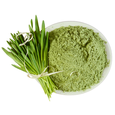 Picture of barley grass extract